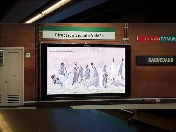 這些<a href=http://www.zisens.com target=_blank class=infotextkey>led屏</a>就一個(gè)字 3.webp.jpg