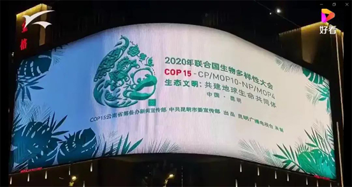 PSCuv1634009245 PSCuv1634009245